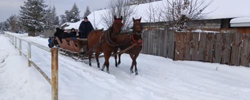 Kulig konny - zimowa przygoda na saniach